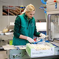 Spargelverkauf an Großhandelspartner