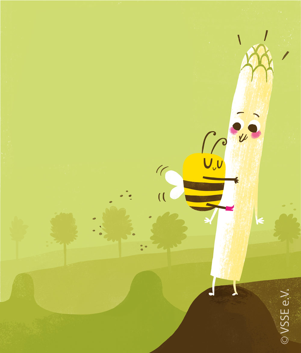 Biene liebt Spargel